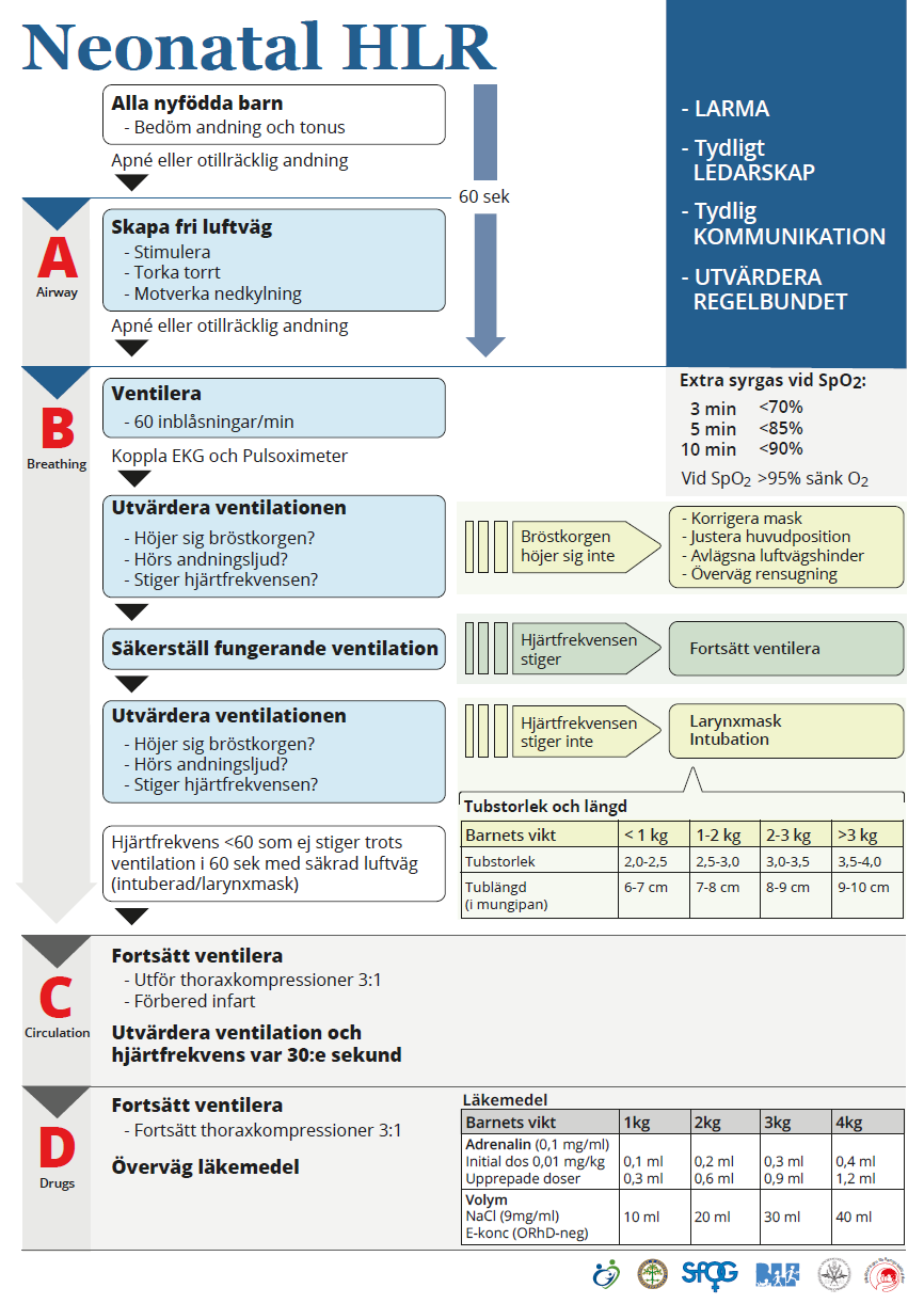 Flödesschema för neonatal HLR 2021