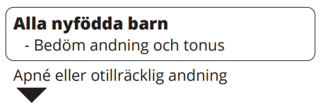 Alla nyfödda barn: Bedöm andning och tonus