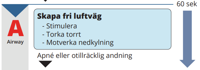 A Skapa fri luftväg: Stimulera, torka torrt, motverka nedkylning