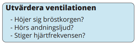 Utvärdera ventilationen: Höjer sig bröstkorgen, hörs andningsljud, stiger hjärtfrekvensen?